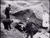 Polish prisoners (1)_tiny